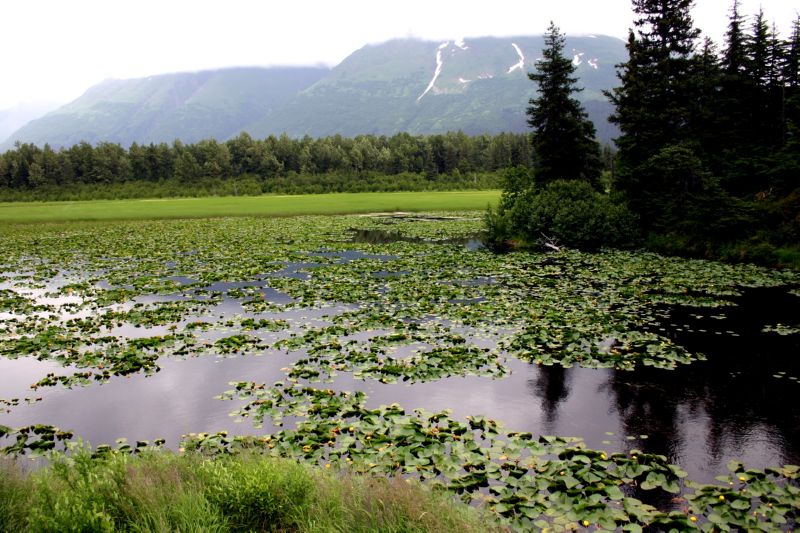 070304 Hope Seward Hope (10104)